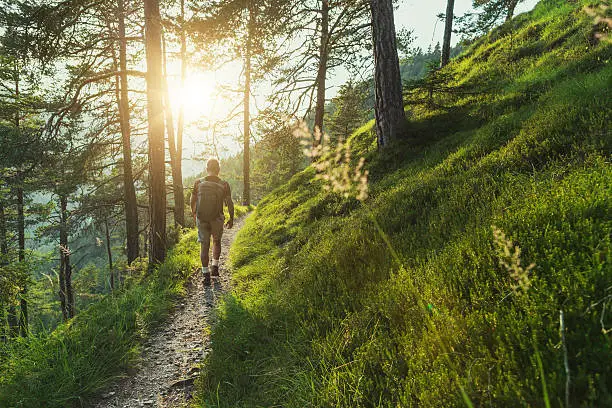 Laufen mit beladenen Rucksack im Wald