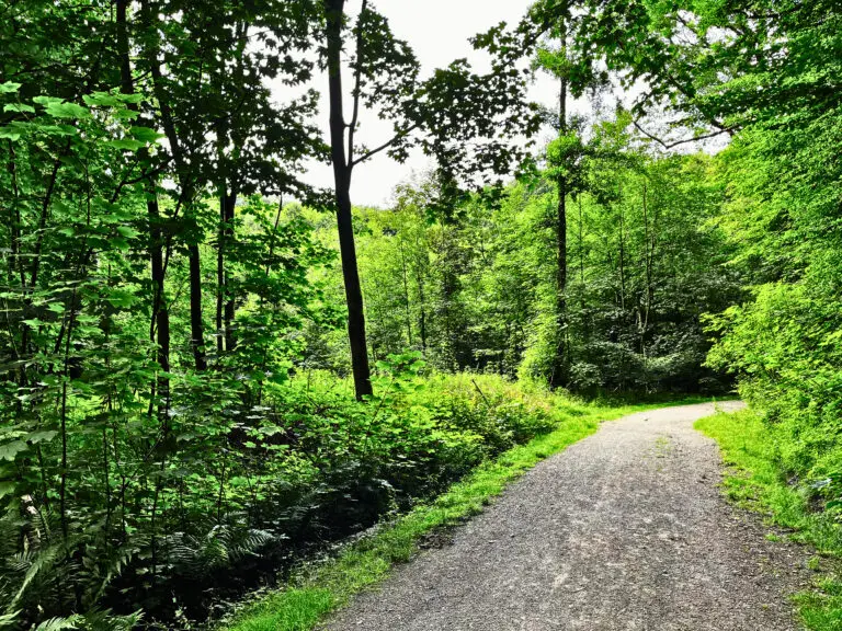 Rucking in Deutschland